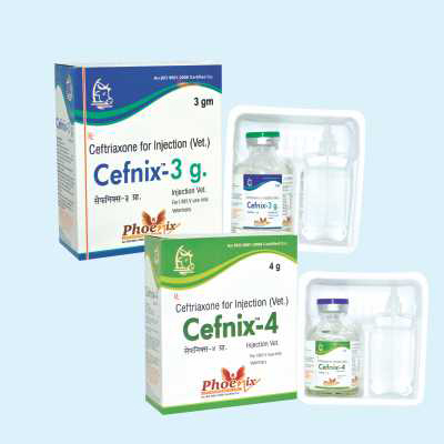Cefnix-4 injection