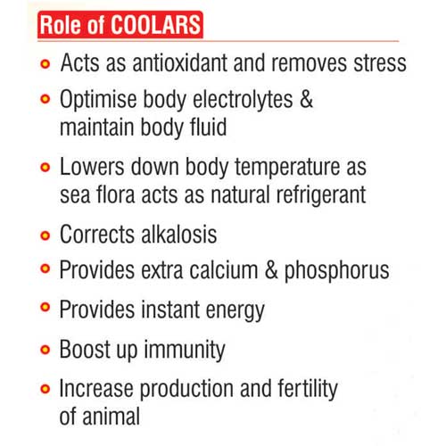 coolras liquid-heat stress and boost up immunity-4