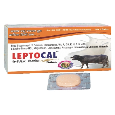 Leptocal Bolus | Leptocal Bolus Suppliers, Distributor in Rohtak, India