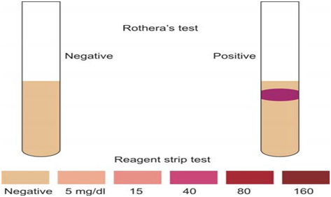 ROTHERA-TEST-IMAGE-FOR-KITOSIS-